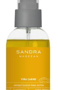 Aromatizador de auto spray fragancia Piña Caribe 120ml Baké Aromas