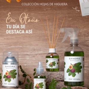 Combo Hojas de Higuera