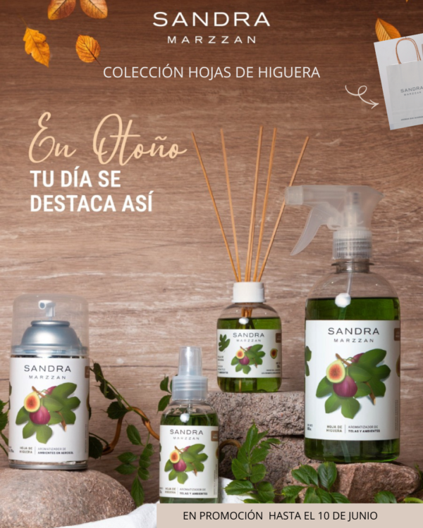 Combo Hojas de Higuera
